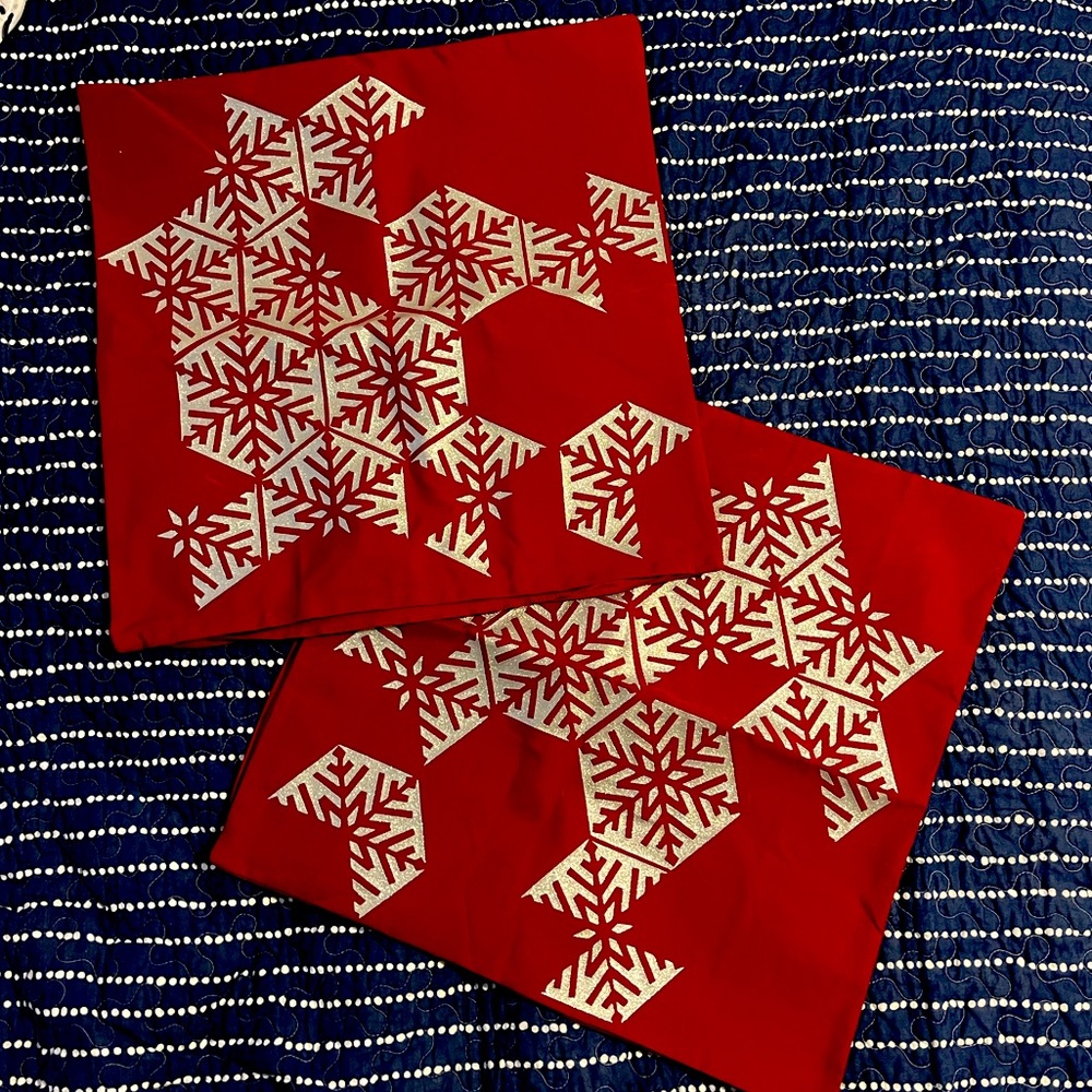 Set of 2 snowflake geometric pillow covers